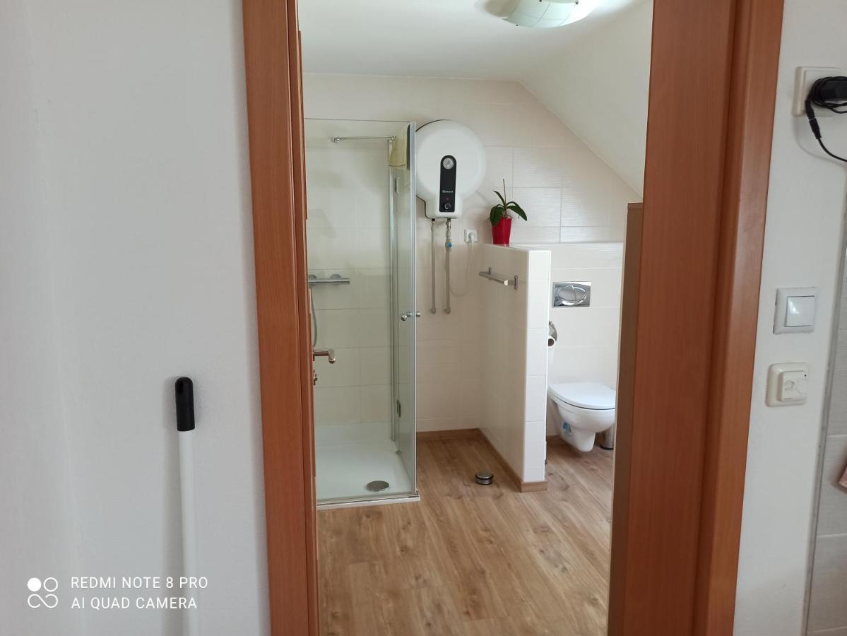 Appartamento Apartmá Na Lipně Horní Planá Esterno foto