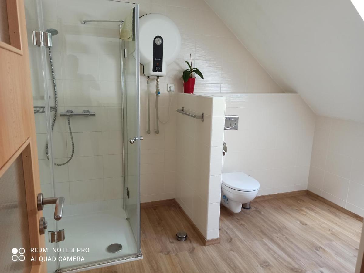 Appartamento Apartmá Na Lipně Horní Planá Esterno foto