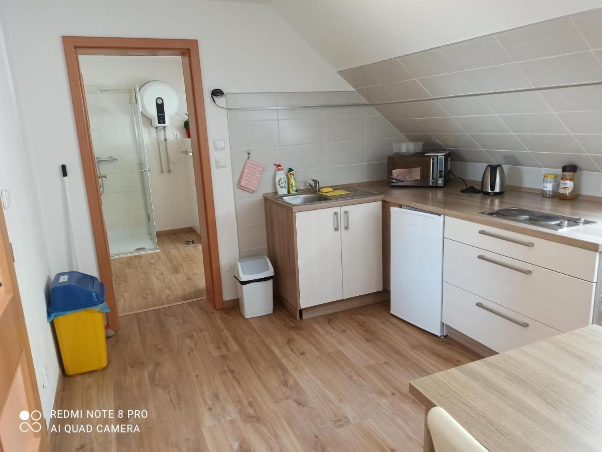 Appartamento Apartmá Na Lipně Horní Planá Esterno foto