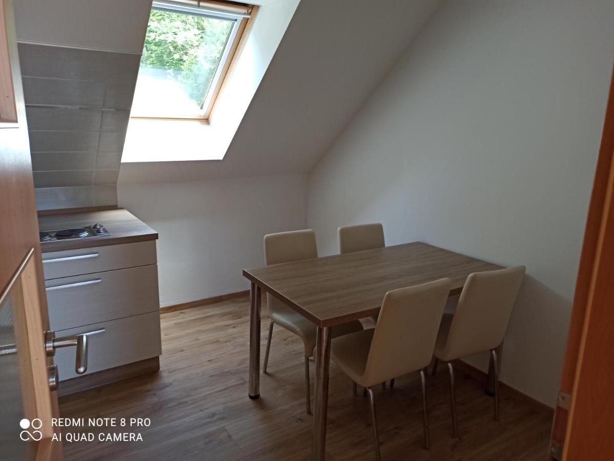 Appartamento Apartmá Na Lipně Horní Planá Esterno foto